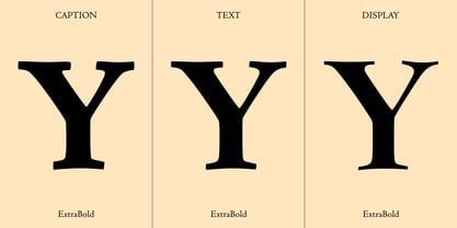 Centaur Now Font Poster 5